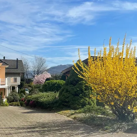 L'impasse En Duo, Cosy 2 Personnes Avec Exterieur Prive Munster (Haut-Rhin)
